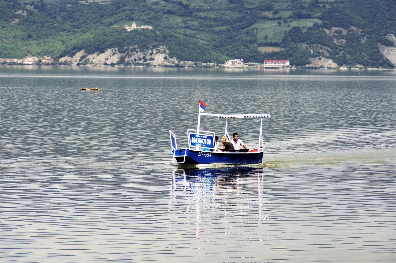 Zlatna Ribica Apartment Golubac Exterior photo